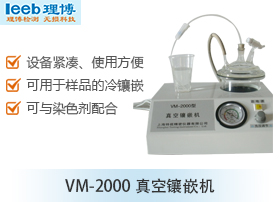VM-2000真空镶嵌机
